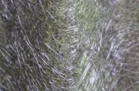 Cilgerran fibreglass roof work